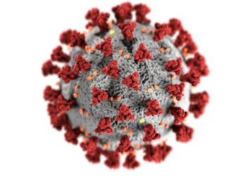 Detailed 3D representation of the coronavirus structure highlighting spike proteins.