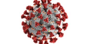 Detailed 3D representation of the coronavirus structure highlighting spike proteins.